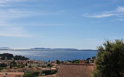 Appartement 1 Chambre