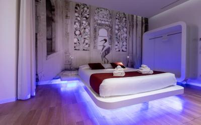 Camera Quadrupla Premium 