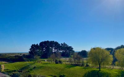 Appartement 1 Chambre