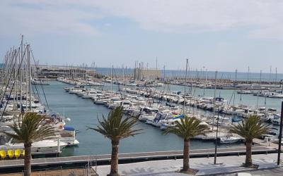 Appartement 1 Chambre