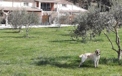 Maison 2u00a0Chambres