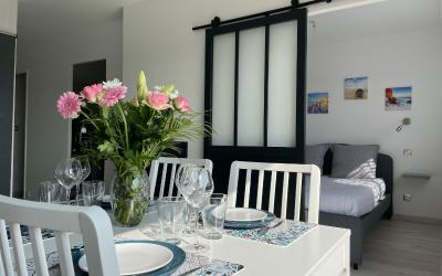 Appartement 1 Chambre