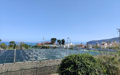 Appartamento con Vista Mare