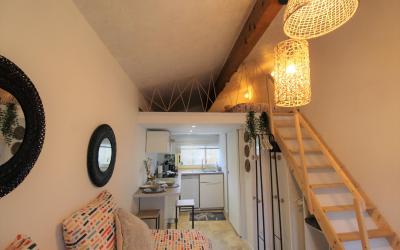 Appartement 1 Chambre