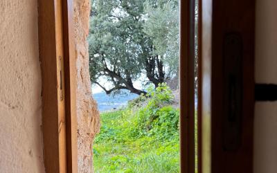 Chambre Double avec Douche - Vue sur Mer Chambre Double avec Douche - Vue sur Mer