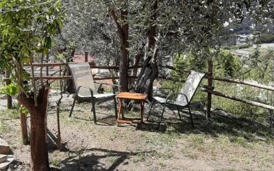 Appartamento con 1 Camera da Letto