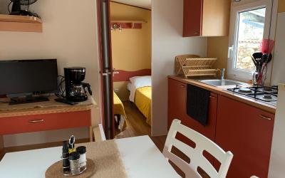 Mobile Home