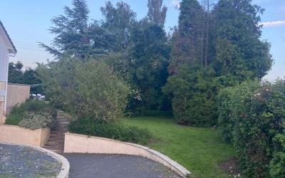 Appartement 1 Chambre