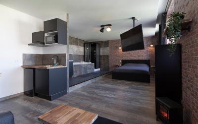 Appartement 1 Chambre