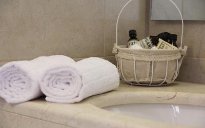 Camera Deluxe Matrimoniale/Doppia con Letti Singoli con Vista Giardino