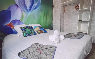 Chambre Double ou Lits Jumeaux