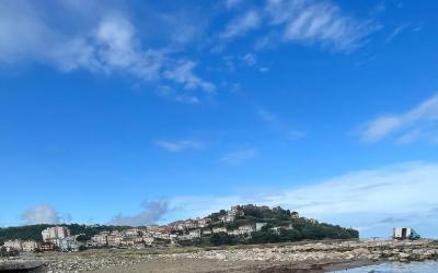 Camera Quadrupla Standard 