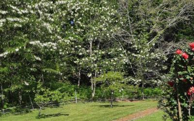 Chambre Double Fuerte Ventura