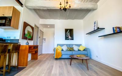 Appartement 1 Chambre