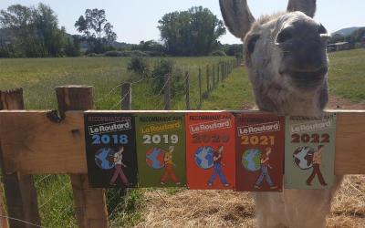 Bungalow Familial Bungalow Familial