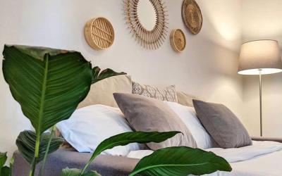 Appartamento Comfort con 1 Camera da Letto 