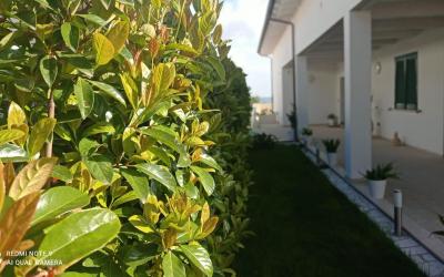 Camera Matrimoniale Standard