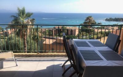 Appartement 1 Chambre