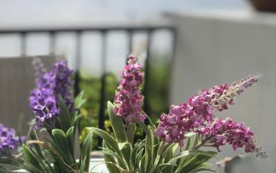 Appartamento con 3 Camere da Letto