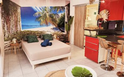 Appartement 1 Chambre