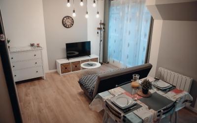 Appartement 1 Chambre