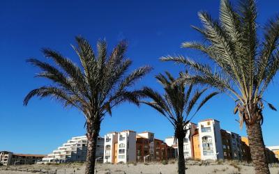 Appartement - Rez-de-Chaussu00e9e