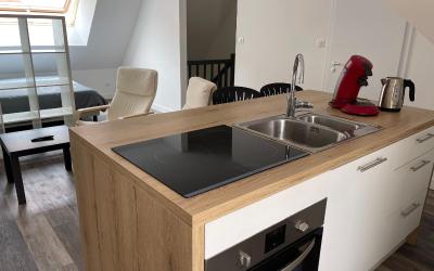 Appartement 1 Chambre