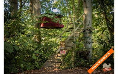 Tentes Perchu00e9es  Tentes Perchu00e9es