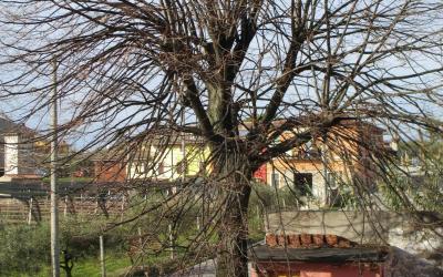 Camera Matrimoniale con Balcone