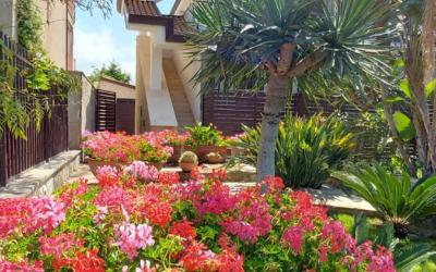 Appartamento con 1 Camera da Letto