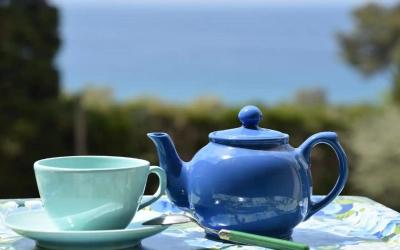 Appartement 1 Chambre Appartement 1 Chambre