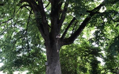 Appartement - Vue sur Jardin