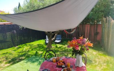 Appartement 1 Chambre Appartement 1 Chambre