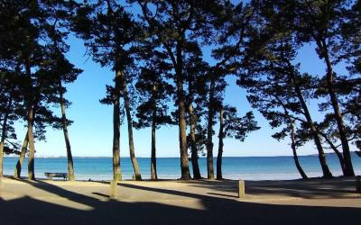 Appartement 1 Chambre