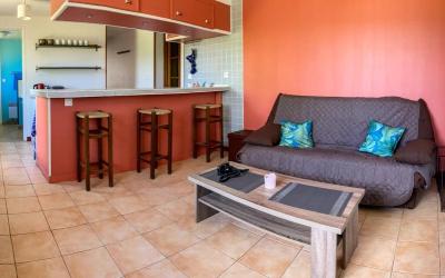 Appartement 1 Chambre