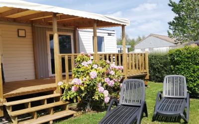 Mobile Home