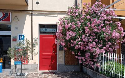 Camera Matrimoniale con Bagno Privato
