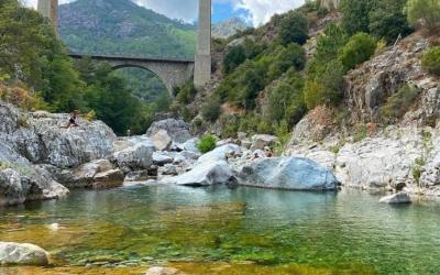 Appartement 1 Chambre Appartement 1 Chambre