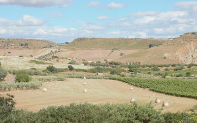 Camera Singola Superior