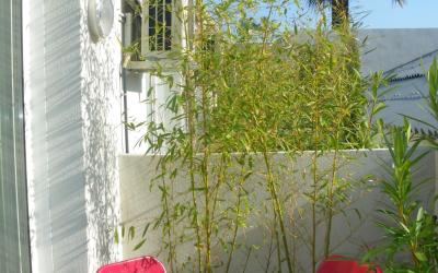 Studio (1-3 Adultes) Studio (1-3 Adultes)