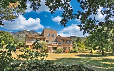 Appartement 1 Chambre