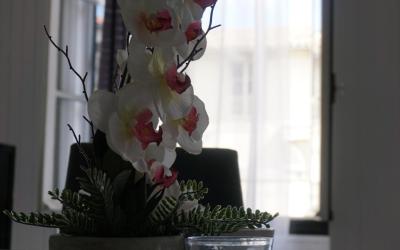 Appartement 2 Chambres