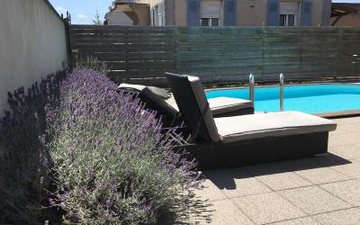 Appartement 1 Chambre