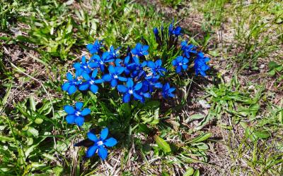 Casa con 2 Camere da Letto