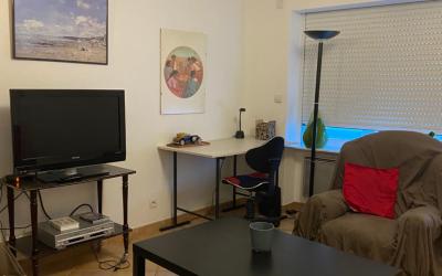 Appartement 1 Chambre