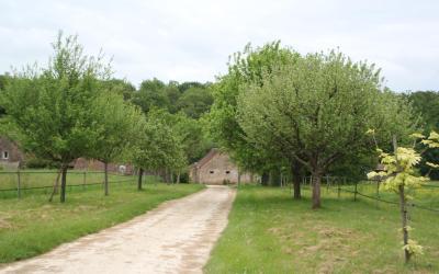 Maison 1 Chambre Maison 1 Chambre