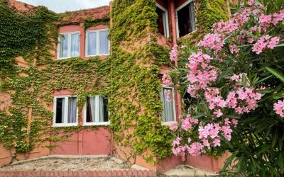 Chambre Double - Vue sur Piscine