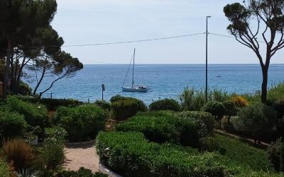 Appartement 1 Chambre