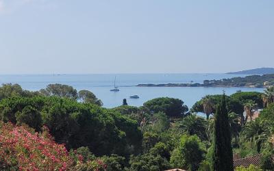 Appartement avec Terrasse