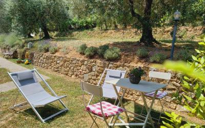 Monolocale con Vista Giardino